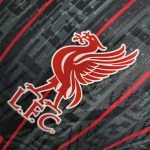 23-24 Liverpool James Joint Edition Jersey (Player Version) Football Shirt S-XXL - Image 4