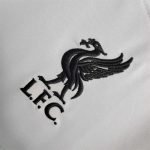 23-24 Liverpool Away Jersey (Fans Version) Football Shirt - Image 3