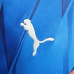 23-24 Al Hilal Home Jersey (Fans Version) Football Shirt - Image 4