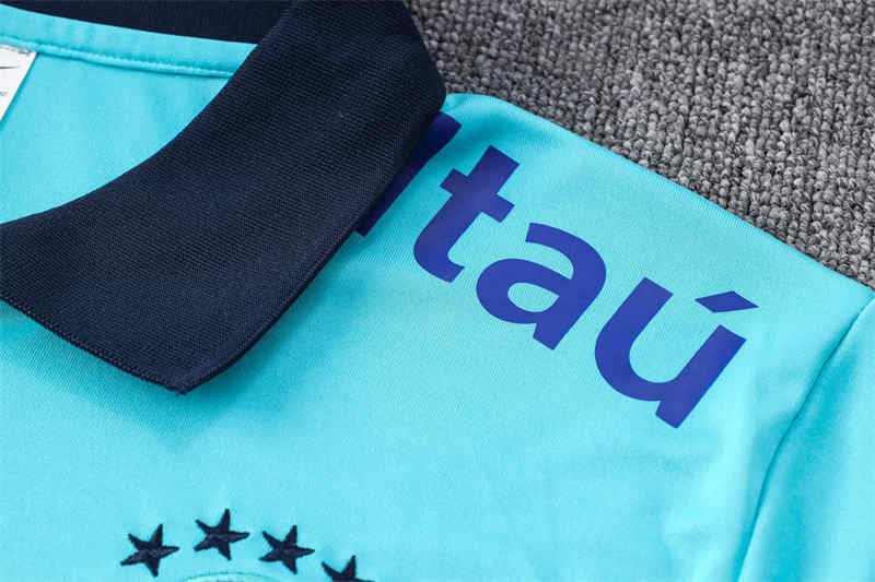 IMG_1017 Brazil Polo Shirt Football Jersey S-XXL-DS#C953 - Image 6