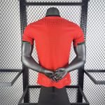 24-25 Portugal Home Kit (Player Version) Jersey Football Shirt - Image 2