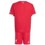Kids Liverpool Away Jersey Kit 2025-26 - Image 3