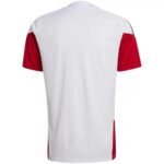 Germany Pre-Match Training Jersey World Cup 2026 (Fans Version) - Image 2