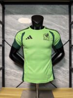 Mexico Pre-Match Training Jersey World Cup 2026 (Player Version)